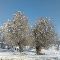 Talgar. :: Murat Bukaev 