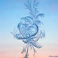 И Гжель мороз рисует на стекле... :: Андрей Заломленков