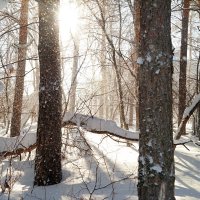 Светит солнышко поярче, но пока ещё не греет... :: Андрей Заломленков