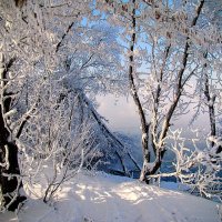 Зима - краса ! Теперь большая редкость в Московии,,,) :: Анатолий Колосов