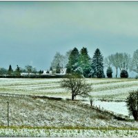 ЯНВАРЬ... :: Elvira E. 