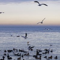 Непогода :: Светлана Тихонина Непогода :: Светлана Тихонина