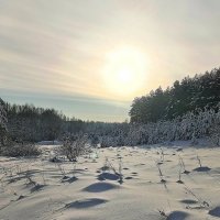 Зиний день. :: Михаил Колосов 