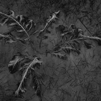 Холод :: Vanya Zhukov