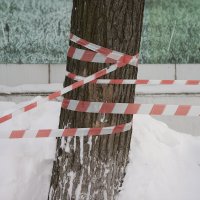 Без названия :: Владимир Носов Без названия :: Владимир Носов