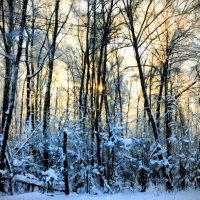 Январский день :: Михаил Столяров