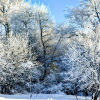 Январские краски :: Михаил Столяров Январские краски :: Михаил Столяров