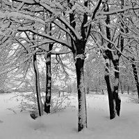 Зимний сквер :: Наталья ***
