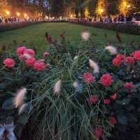 Парк Кадриорг :: Veera V