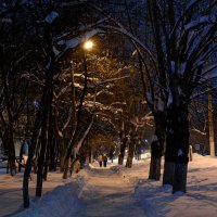 Зимний вечер :: Dar(k) Life