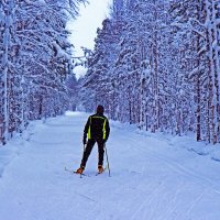 Январь...В зимнюю  сказку! :: Владимир 