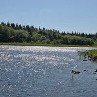 Подчерем искрится. :: ВикТор Быстров Подчерем искрится. :: ВикТор Быстров