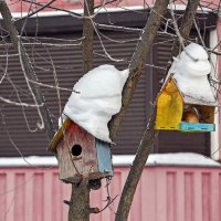 В снежных шапочках :: Валерий Иванович В снежных шапочках :: Валерий Иванович