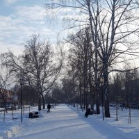 Зима :: Венера Чуйкова