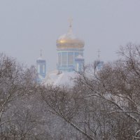 в метель :: Виталий Емельянов