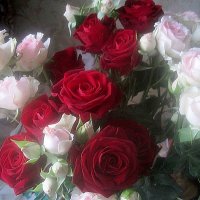 С ТАТЬЯНИНЫМ ДНЕМ.ВСЕМ ИМЕНИННИЦАМ СЧАСТЬЯ,ЗДОРОВЬЯ,ЛЮБВИ! :: Елена Семигина С ТАТЬЯНИНЫМ ДНЕМ.ВСЕМ ИМЕНИННИЦАМ СЧАСТЬЯ,ЗДОРОВЬЯ,ЛЮБВИ! :: Елена Семигина