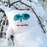 С Днём счастливых снеговиков! :-) :: Андрей Заломленков