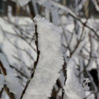 Нелогичный иней :: Ольга 