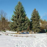 Зима в ботаническом саду Н В Багрова :: Валентин Семчишин Зима в ботаническом саду Н В Багрова :: Валентин Семчишин