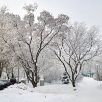 Московский январь :: Юрий Шувалов