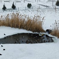 Ростовские зарисовки :: Александр Гапоненко