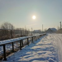 Утро и мороз... :: Ирина *