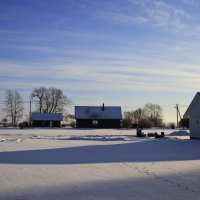 Морозный зимний день.. :: Татьян@ Ивановна