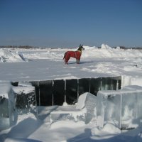 Заготовка льда :: Anna Ivanova Заготовка льда :: Anna Ivanova