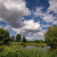 Майское... :: Николай Гирш Майское... :: Николай Гирш