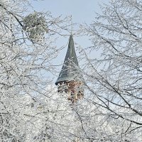 Калининград. Кафедральный собор. :: Михаил Свиденцов