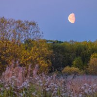 Лунный осенний вечер в окрестностях Ухты. :: Николай Зиновьев Лунный осенний вечер в окрестностях Ухты. :: Николай Зиновьев