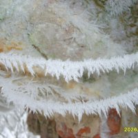 Паутина в инее :: fogmeadowww m