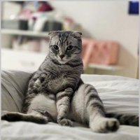 Хозяин :: Ольга Довженко