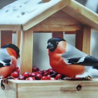 В новой кормушке :: Людмила Смородинская В новой кормушке :: Людмила Смородинская