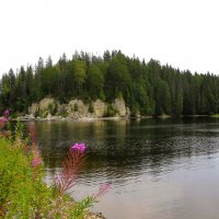 Скалистый берег :: Лариса С.