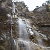 Природа Крыма :: Amazing Cosmea Природа Крыма :: Amazing Cosmea