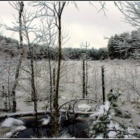 *** :: Aleksandr Gal *** :: Aleksandr Gal