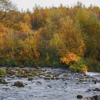 ***** :: Андроник Александр 