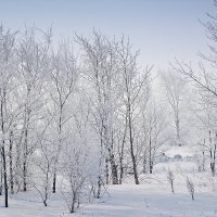 Зимний день :: MILAV V