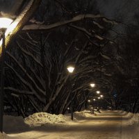 Вечер в Зимнем Парке :: юрий поляков Вечер в Зимнем Парке :: юрий поляков