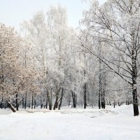 Московский январь :: Юрий Шувалов