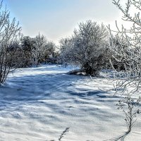 Январь. :: Владимир 