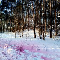 Розовое на белом.... :: Vladimir Semenchukov