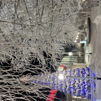 Зима в Когалыме :: Эльвира Белянская