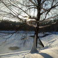 Мороз и солнце, день чудесный :: Андрей Лукьянов Мороз и солнце, день чудесный :: Андрей Лукьянов