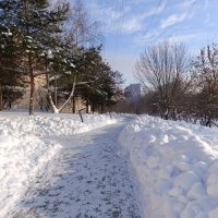 Солнечно. :: tatiana 