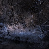 На речке, на том берегу... :: Владимир Безбородов