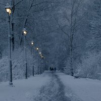 Выпал первый мокрый снег. :: Евгений Голубев