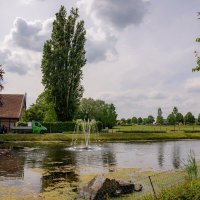 У пруда... :: Николай Гирш