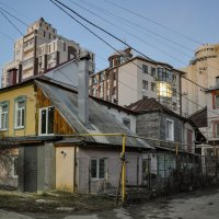 Разнообразие форм :: Татьяна Машошина